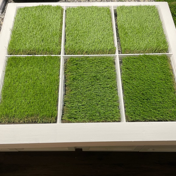 Spring Themed Window - Picture 2 of 2